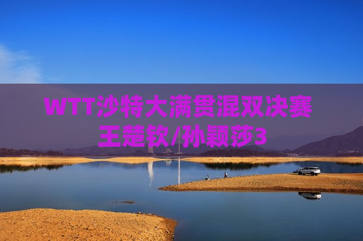 WTT沙特大满贯混双决赛 王楚钦/孙颖莎3