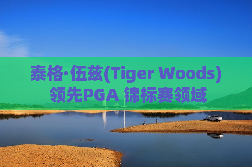 泰格·伍兹(Tiger Woods) 领先PGA 锦标赛领域