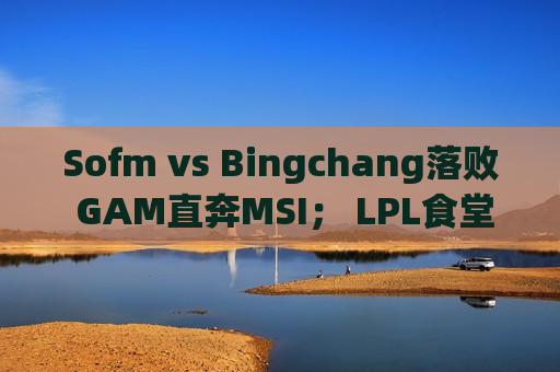 Sofm vs Bingchang落败 GAM直奔MSI； LPL食堂教练否认定制冠军的想法
