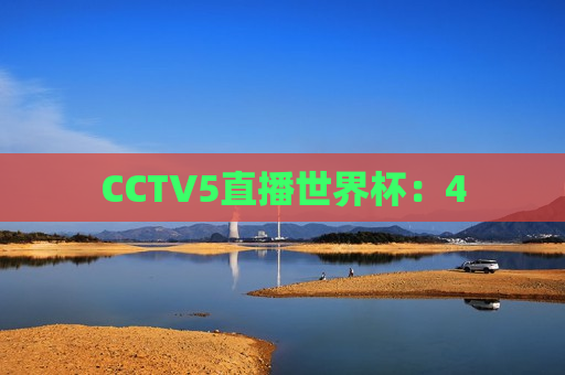 CCTV5直播世界杯：4