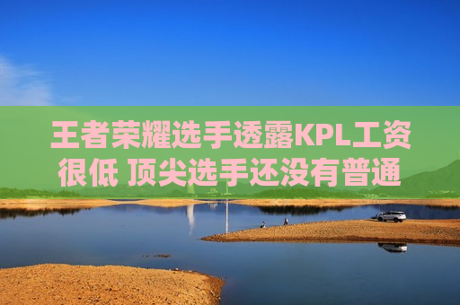 王者荣耀选手透露KPL工资很低 顶尖选手还没有普通LPL选手那么多