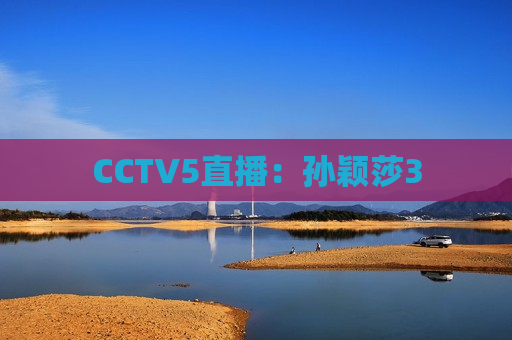 CCTV5直播：孙颖莎3