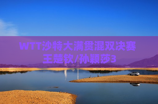 WTT沙特大满贯混双决赛 王楚钦/孙颖莎3