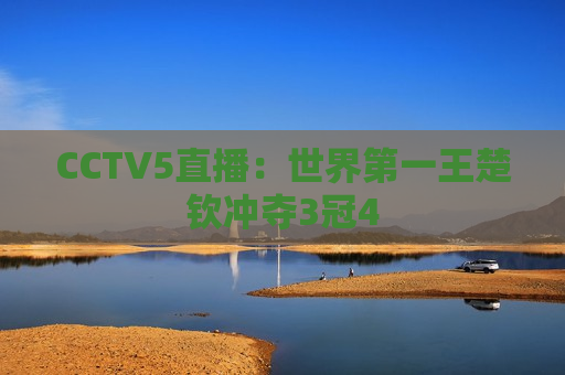 CCTV5直播：世界第一王楚钦冲夺3冠4